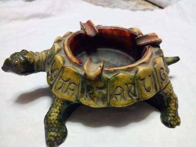 IL TARTARUGA